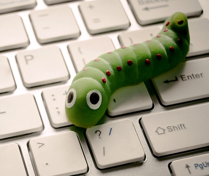 What is a computer worm? How they work and spread